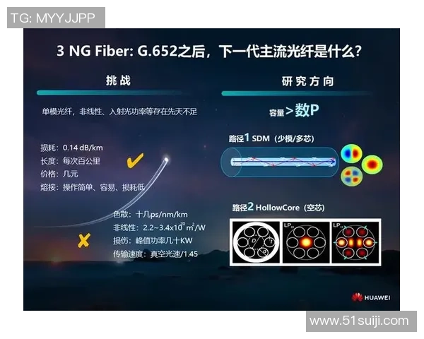 足球竞技与文化交织下的全球发展趋势与未来挑战分析